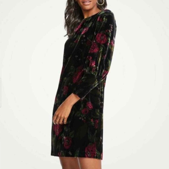 Ann Taylor Petite Velvet Floral Print Long Sleeved Mini Dress. Size 6P. NWT. - Picture 1 of 14
